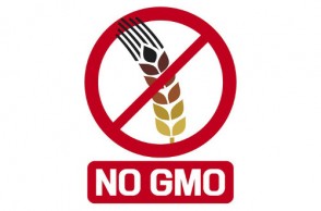GMO Labeling & the New, More Toxic Alternative to Round-Up