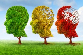 Reverse Dementia & Alzheimer's with the MIND Protocol