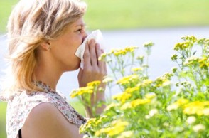 A Natural Remedy for Your Seasonal Allergies