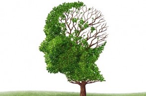 Simple Steps to Prevent Memory Loss & Cognitive Decline