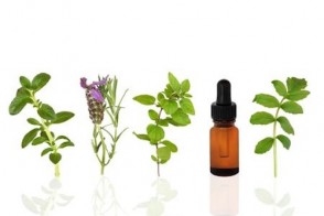 Nature's Secrets: Dr. Susanne’s 5 All-Time Favorite Herbal Remedies
