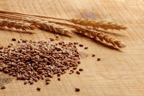 Celiac Disease &amp; Gluten Sensitivity: What&#039;s the Difference?