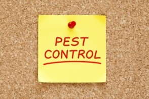Non-Toxic Pest Control for Your Home