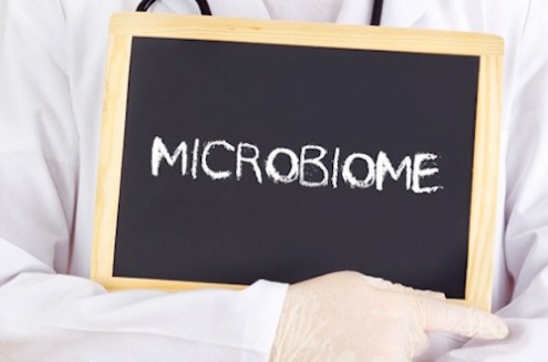 The Microbiome &amp; a Healthier You