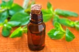 The Many Benefits of Peppermint Oil