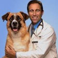 Pets: Fur Your Health