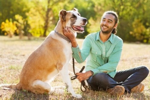Dog Medicine: How Dogs Improve Your Health