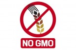 GMO Labeling &amp; the New, More Toxic Alternative to Round-Up