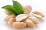 Peanut Allergies: A New Study