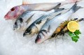 Does Your Fish Contain High Levels of Methylmercury?