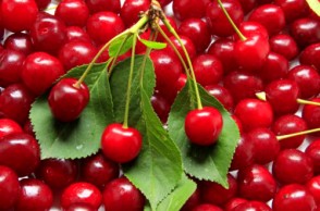 Relieve Muscle Pain with Tart Cherries