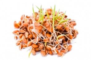 Benefits of Sprouted Grains