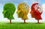 Reverse Dementia &amp; Alzheimer&#039;s with the MIND Protocol