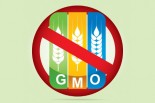 GMO-Free? What it Really Means