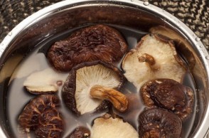 Medicinal Mushrooms: Which Variety Is Most Beneficial?