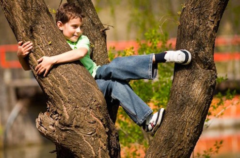 Risky Play for Children: Why Climbing Trees is Essential for Development