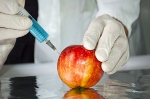 Frankenfood Takeover: Health Implications of GMO Exposure