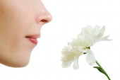 Ask Dr. Mike: Antioxidant Era & Is a Lack of Smell a Sign of Aging?