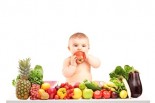 Ultimate Nutrition for Your Baby &amp; Toddler