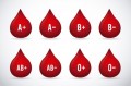 Blood Type Diet: What to Eat if You’re A, B, AB, or O