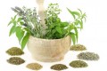 Common Herbs for Eye Problems