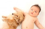 Dogs Can Help AND Hurt Your Baby