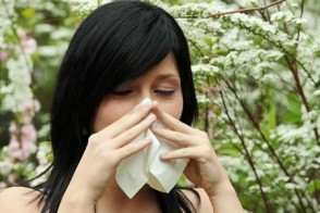 Allergy & Asthma Season: What You Should Know