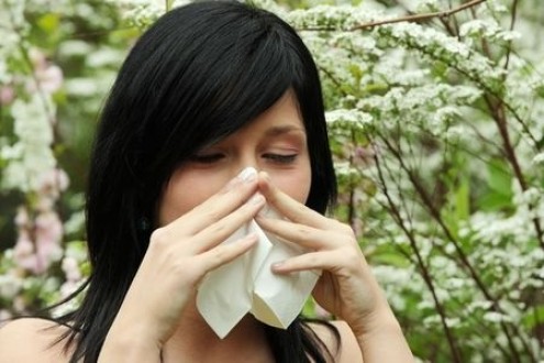 Allergy &amp; Asthma Season: What You Should Know