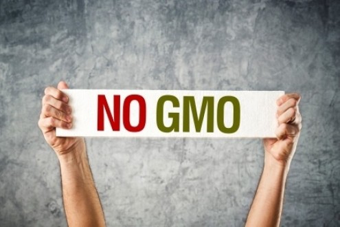 Why Going GMO-Free Is So Important