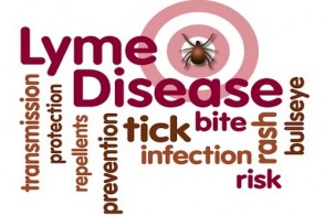 How Lyme Disease Can Disrupt Your Life