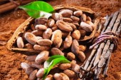 Health Benefits of Cocoa