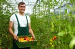 The Lessons of Organic Farming