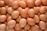 Eating Eggs Reduces Risk of Type-2 Diabetes
