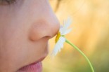 Tapping Into Your Authentic Self Via Sense of Smell