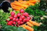 Micro-Nutrients: The Key to Optimal Health