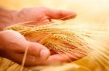 Whole Grains Reduce Heart Disease &amp; Total Death Risk