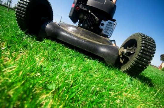Lawnmower Injuries on the Rise