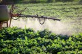 AAP Recommends Reducing Exposure To Pesticides