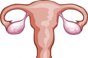 Should You Be Removing Your Ovaries & Fallopian Tubes?