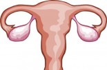 Should You Be Removing Your Ovaries &amp; Fallopian Tubes?