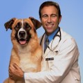 Ep5 - Halloween & Life with Pets: Dr. Jeff Werber