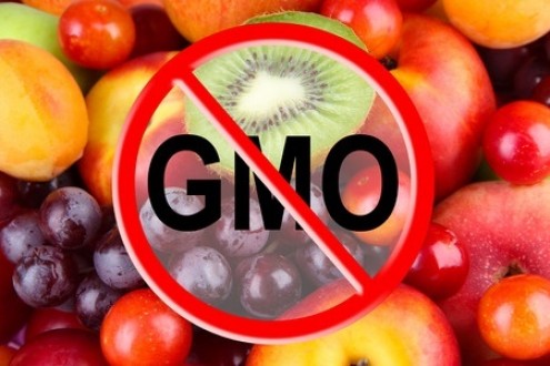 Labeling, Safety &amp; the Future of GMOs