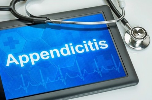 All About Your Appendix: Why You Need It