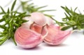 Garlic: Finding the Right Supplement for Cholesterol Control 