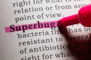 How to Survive a Superbug