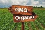 GMO Labeling: Public Rights vs. Government Desires