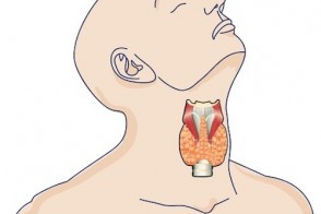 The Ins & Outs of Restoring Thyroid Function