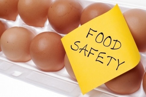 The Crucial Work of the Center for Food Safety