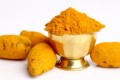 Curcumin & Inflamation: Overweight Cats Provide Insight