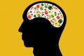 Food: The Gut-Brain Connection